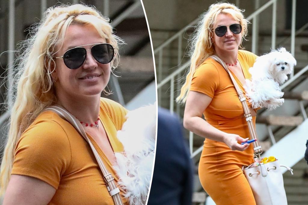 Featured image for "Britney Spears Radiates Joy in First Public Appearance Since Memoir Release"