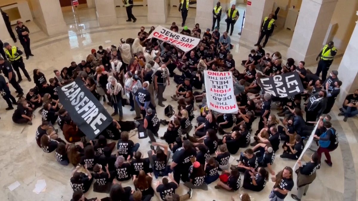 Arrests and Divisions: Protests against Israel's Gaza Assault Spark Controversy
