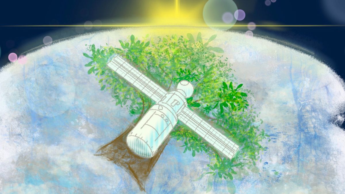 Japan plans to launch wooden satellite in 2024.