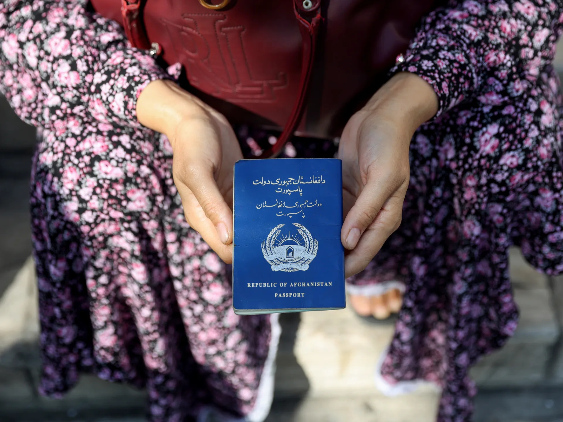 Featured image for Afghan Refugees Face Escalating Deportations Amid Iran-Israel Tensions