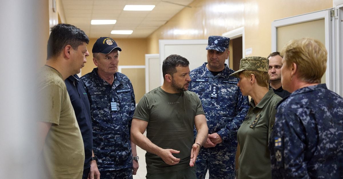 Zelenskiy Takes Action: Overhauls Ukraine's Military Medical System
