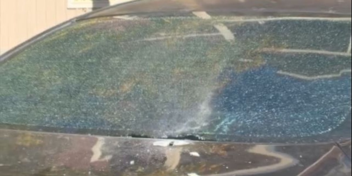 "Colorado Springs Residents Alarmed by Discovery of 140 Shell Casings in Their Neighborhoods"