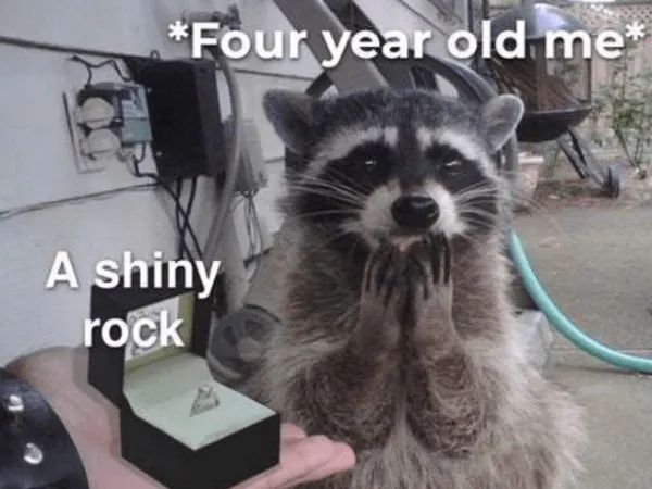 Return to the Joyful Hub of the Internet with 28 Photos