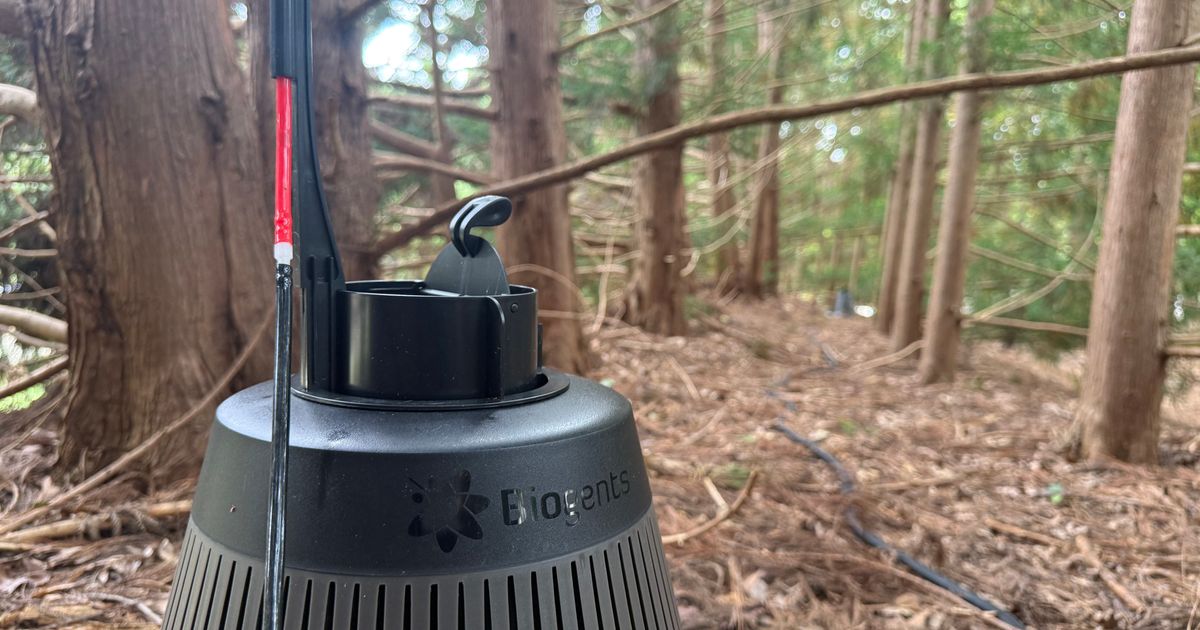 Featured image for North Raleigh Park Enjoys Pesticide-Free Mosquito Control