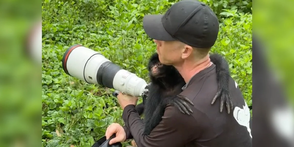 Featured image for Monkey Recognizes Rescuer After Years Apart
