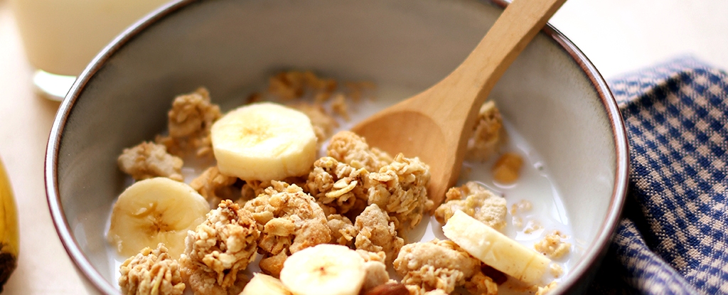 Featured image for Early Breakfast Timing May Boost Longevity, Study Finds