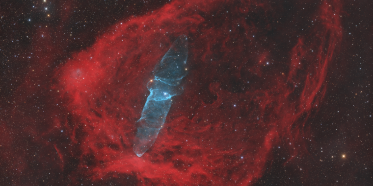 "Exploring the Enigmatic Flying Bat and Squid Nebulae"