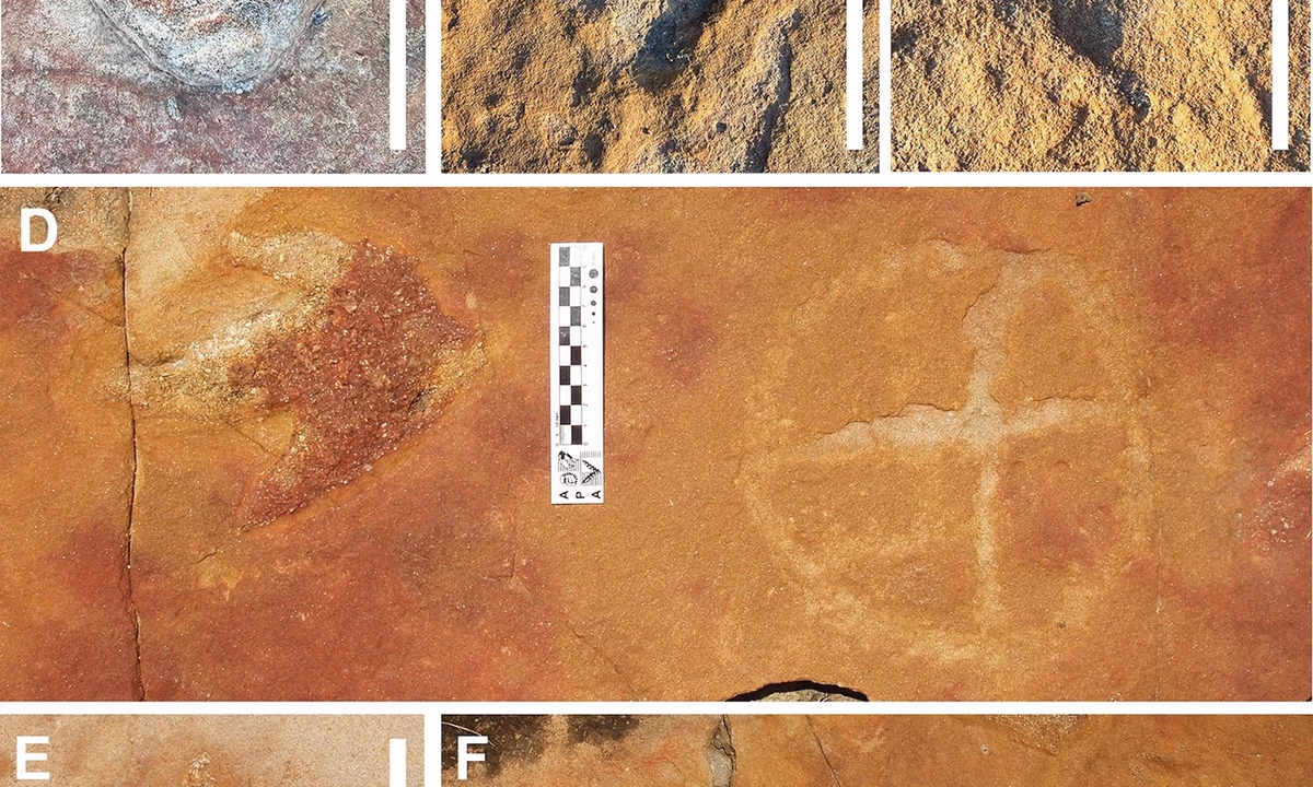 Featured image for Ancient Petroglyphs Unearthed Alongside Dinosaur Tracks in Brazil