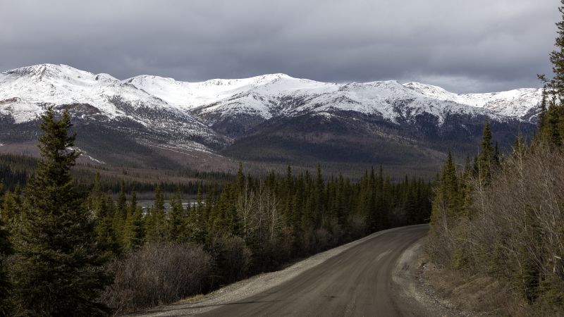Featured image for Fatal and Injurious Vehicle-Moose Collision Near Denali National Park