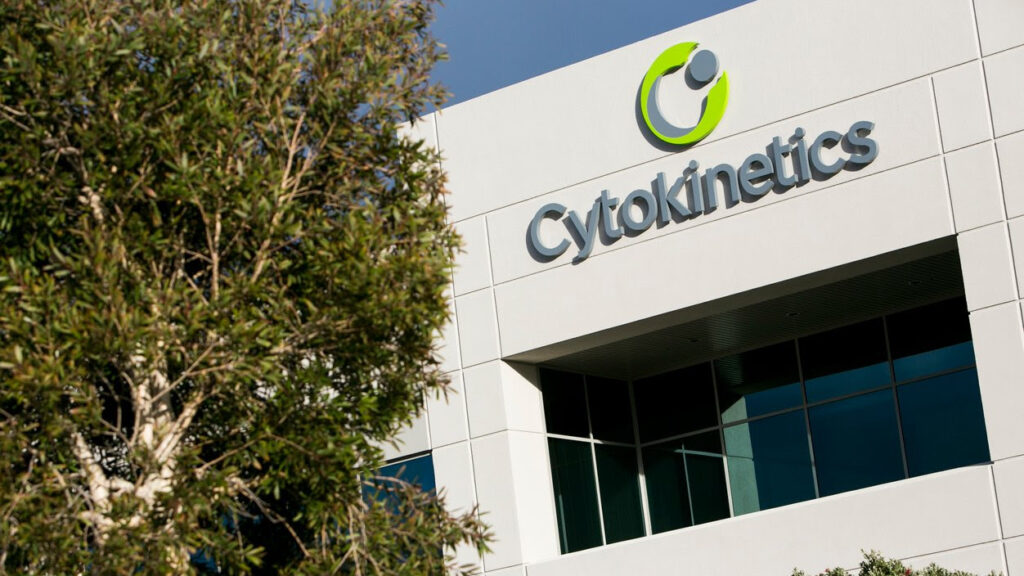 Featured image for Cytokinetics' Heart Drug Gains FDA Approval, Boosting Its Market Edge