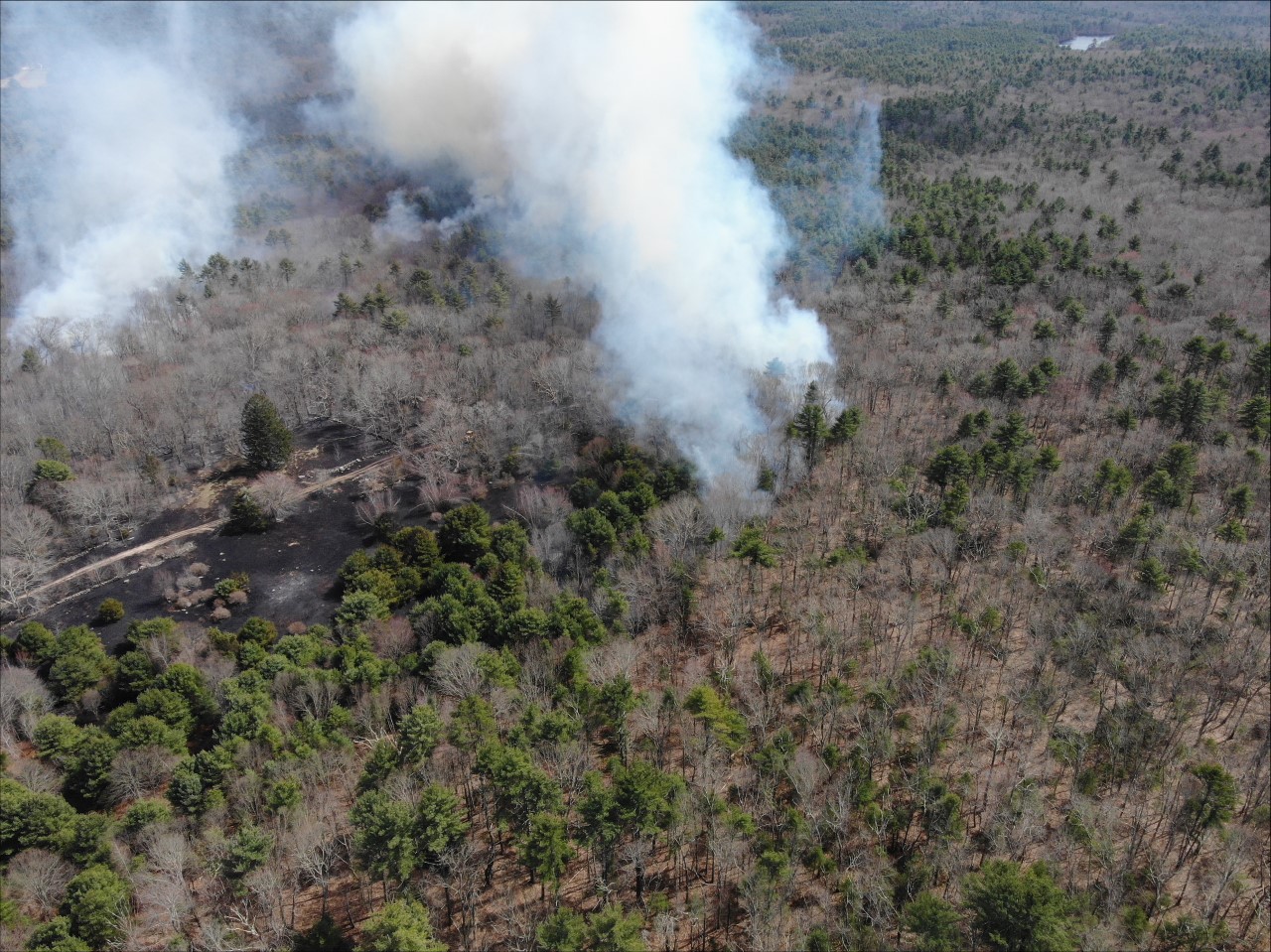 Featured image for Multiple Brush Fires Spark Chaos in Six Communities.