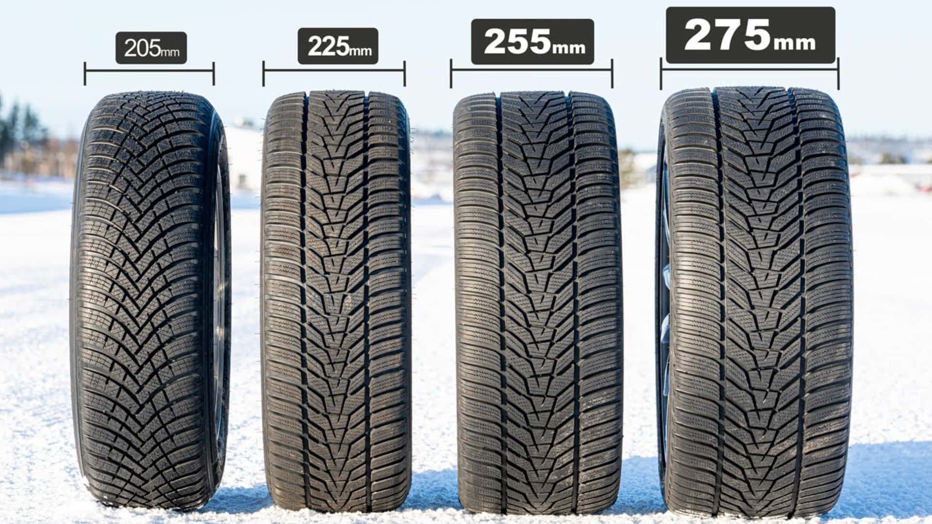 Featured image for The Impact of Tire Width on Winter Performance
