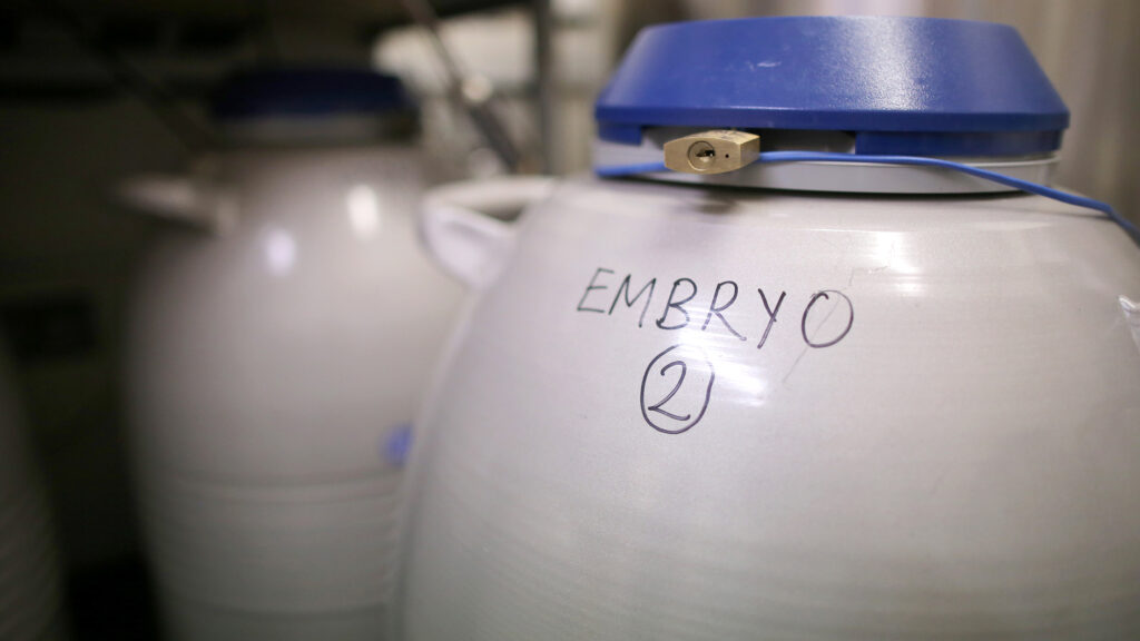 Featured image for Redefining the Human Embryo: Keeping Pace with Technological Progress