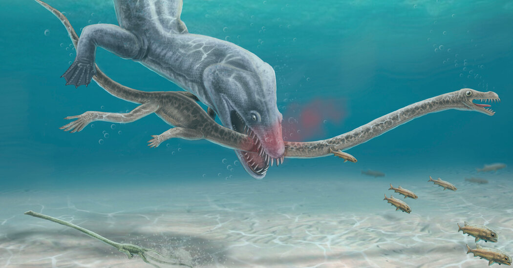Predators Targeted Long-Necked Reptiles, Fossil Evidence Confirms