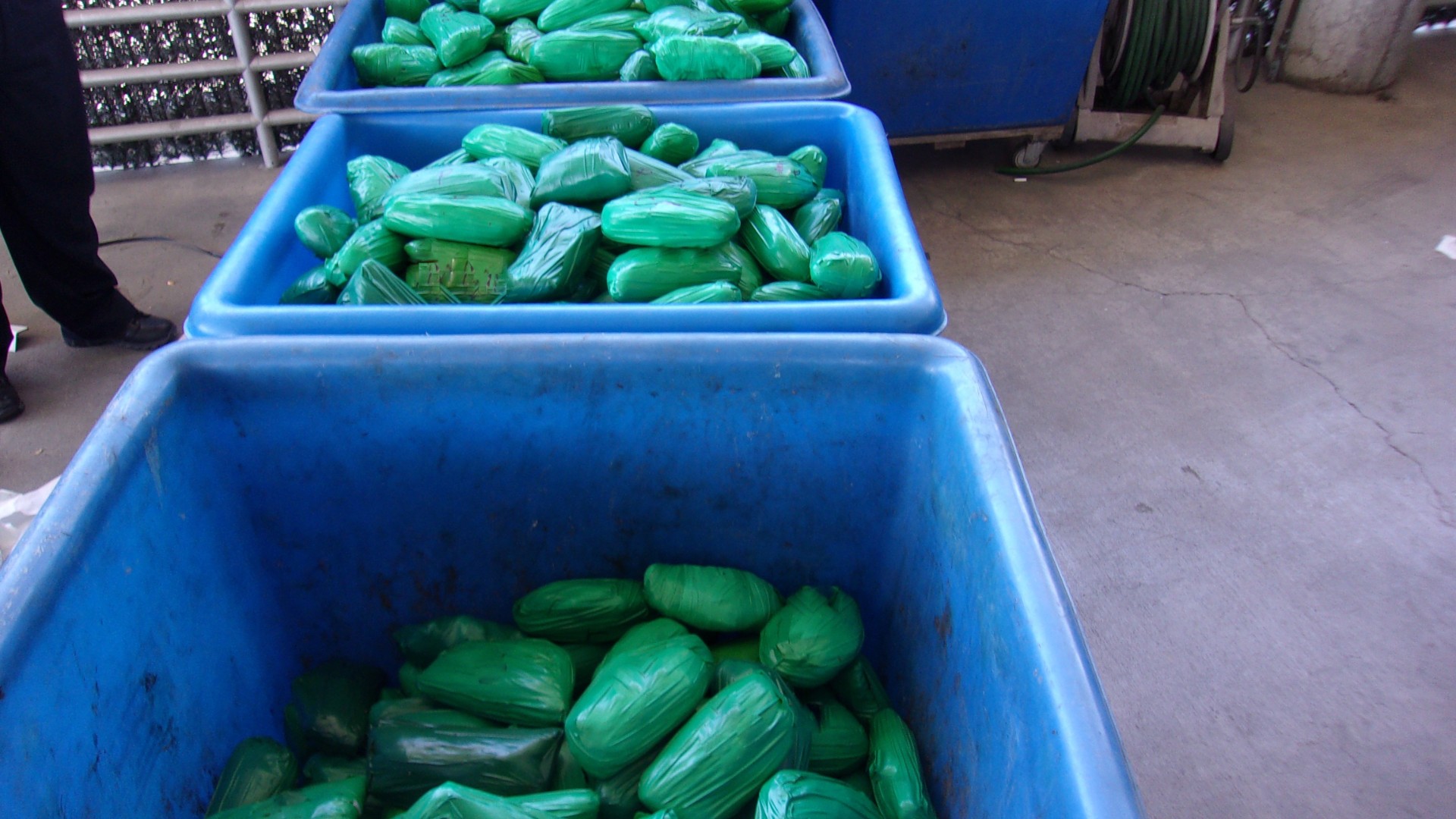 Massive Drug Bust: 29 Charged as US Coast Guard Seizes Tonnes of Drugs in San Diego