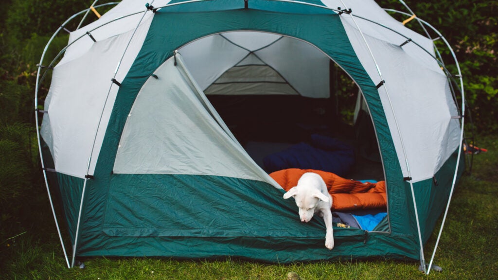 Featured image for "Top 2024 Camping Tents: Outside's Tested Picks"