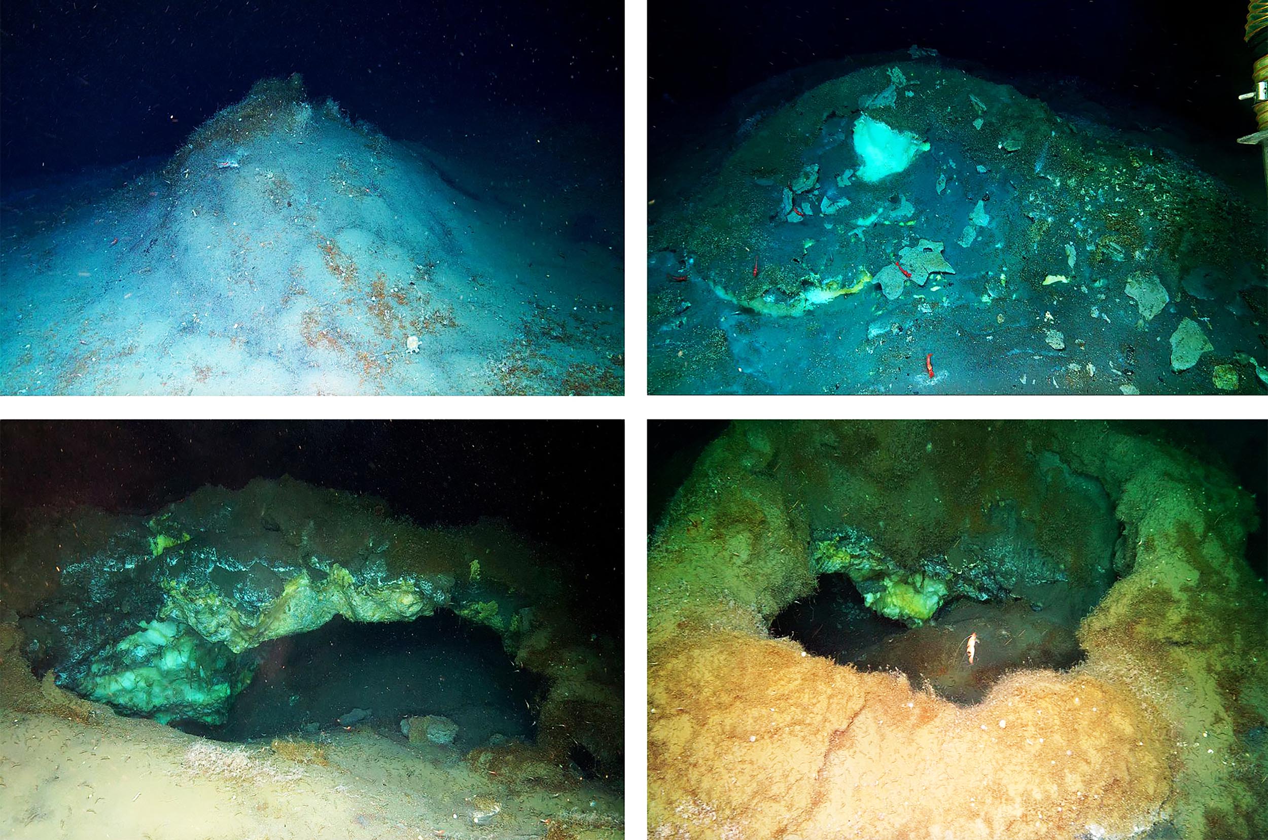 Featured image for New Deep-Sea Discoveries Reveal Rich Ecosystems in Earth's Extreme Oceans