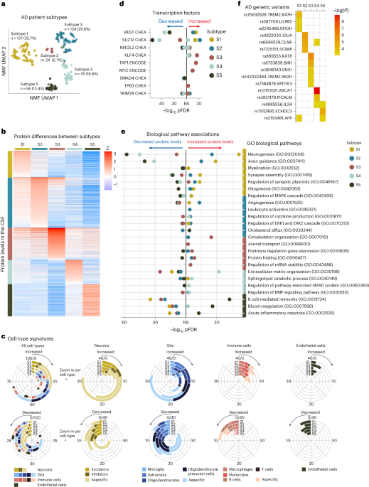 "Uncovering Five Distinct Alzheimer's Variants Through Proteomics Analysis"