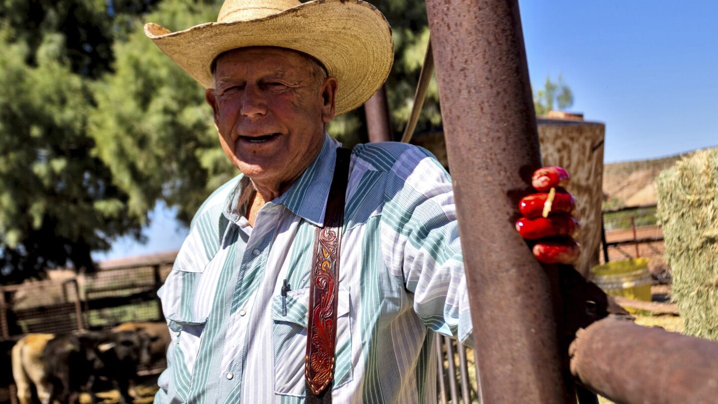 Featured image for "Bundy Cattle Continue to Roam Disputed Rangeland a Decade After Standoff"