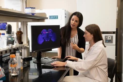 Fruit flies shed light on alcohol addiction