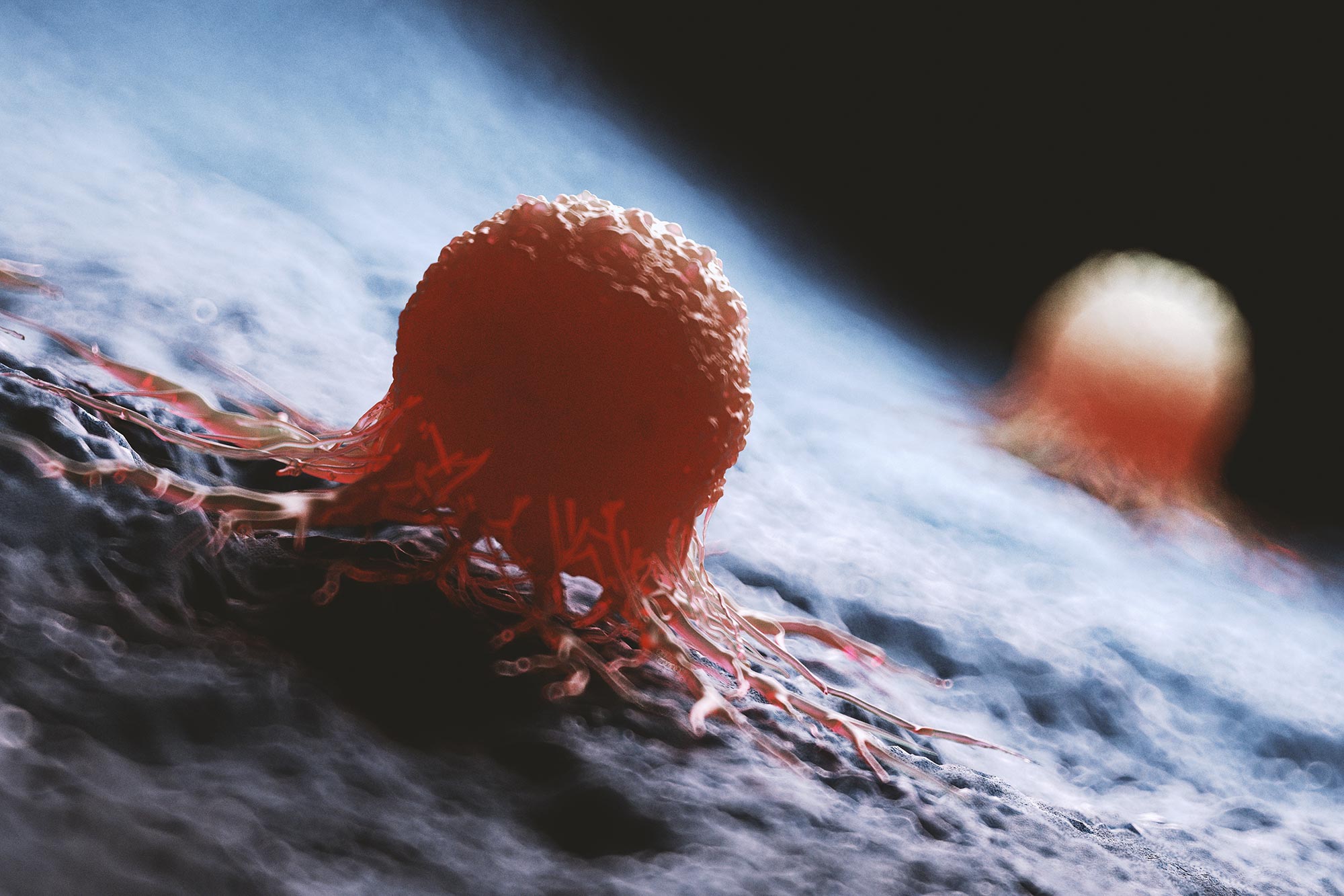 Featured image for New Antibody Stops Aggressive Breast Cancer