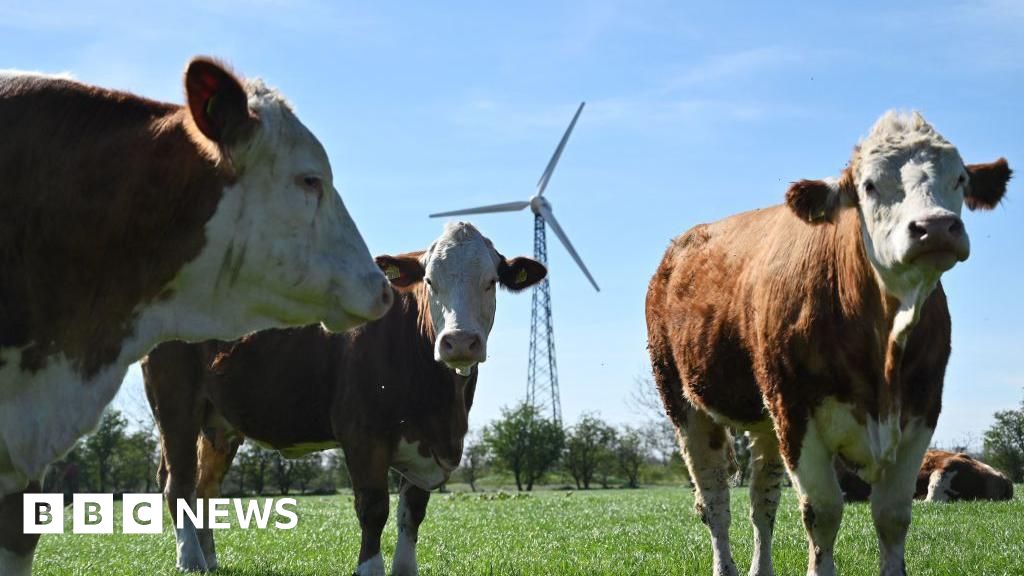 Denmark's Green Deal: Taxing Emissions and Expanding Forests