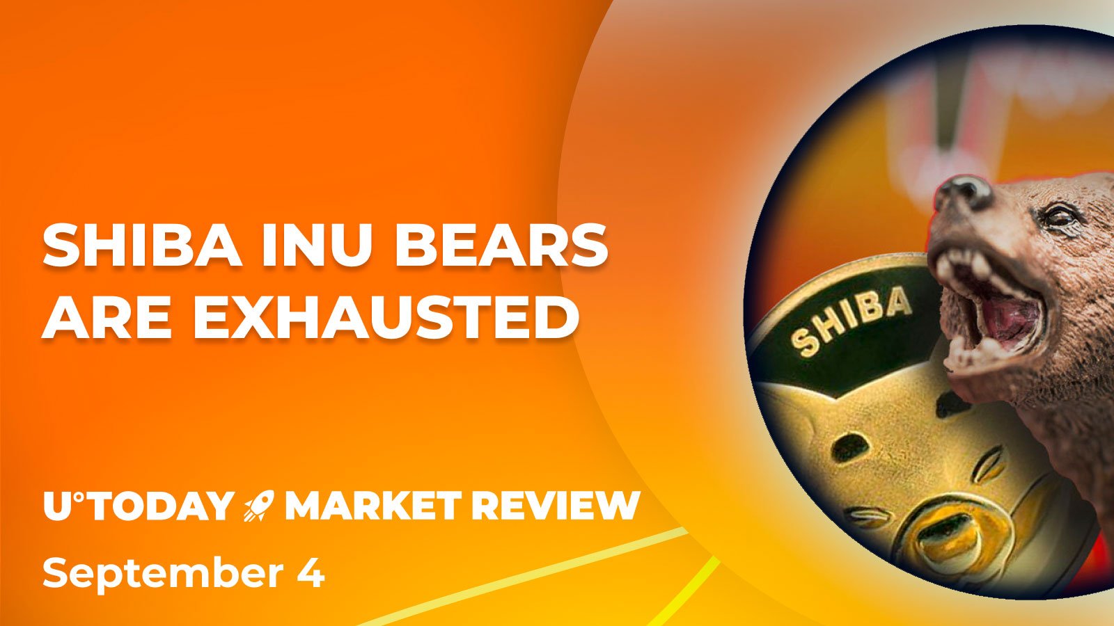 Shiba Inu (SHIB) Reversal Signals Emerge: Data Analysis