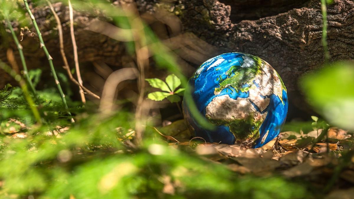 Featured image for Scientists Confirm a Universal Rule Governing All Life on Earth