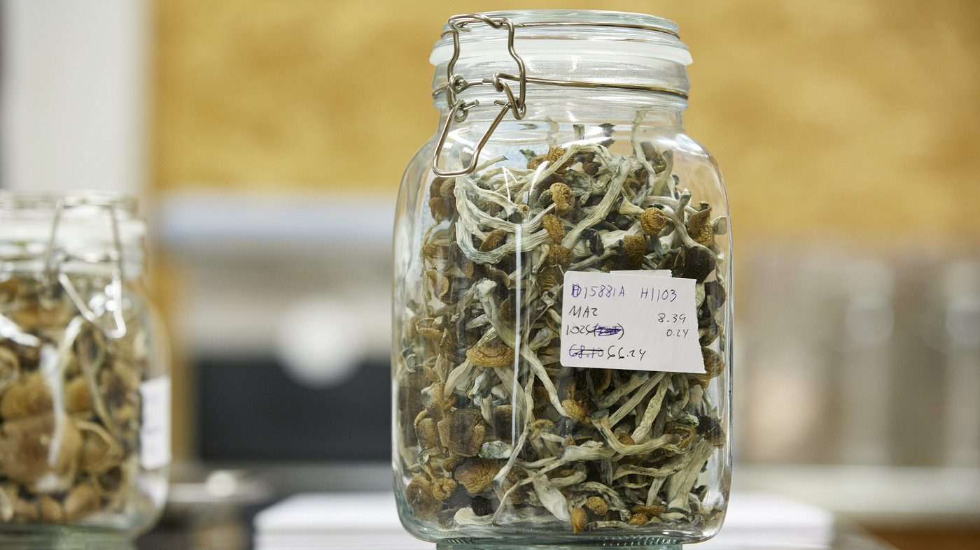 Featured image for "Surge in Magic Mushroom Seizures Reflects Growing Popularity in the US"