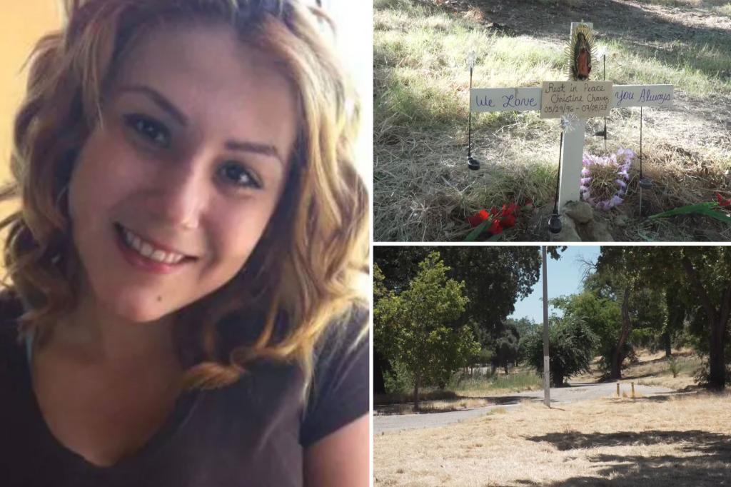 Tragic Accident: Homeless Woman Fatally Struck by Landscaper's Lawnmower in California Park