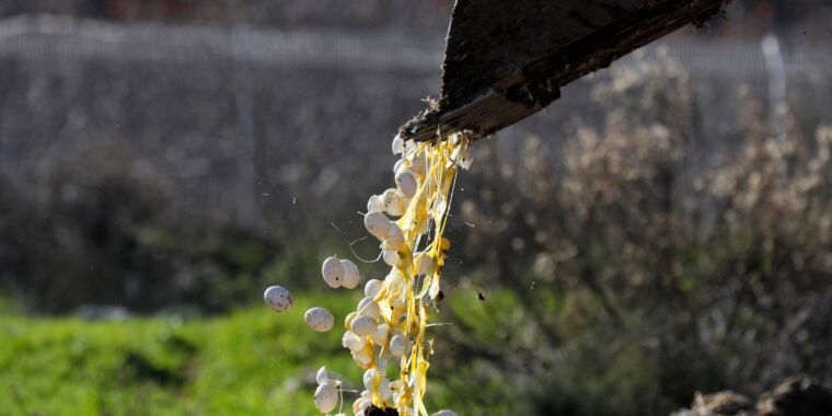 "Texas Bird Flu Outbreak: Cattle and Egg Farm Affected, Person Infected"
