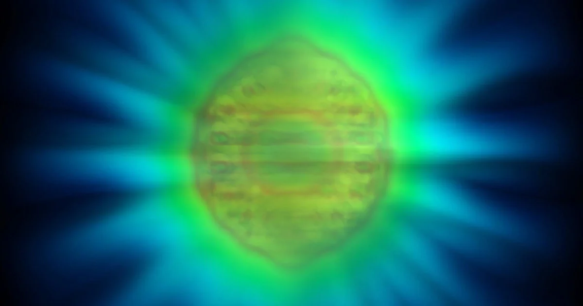 Featured image for Scientists Unveil the Unseen Shape of Single Photons