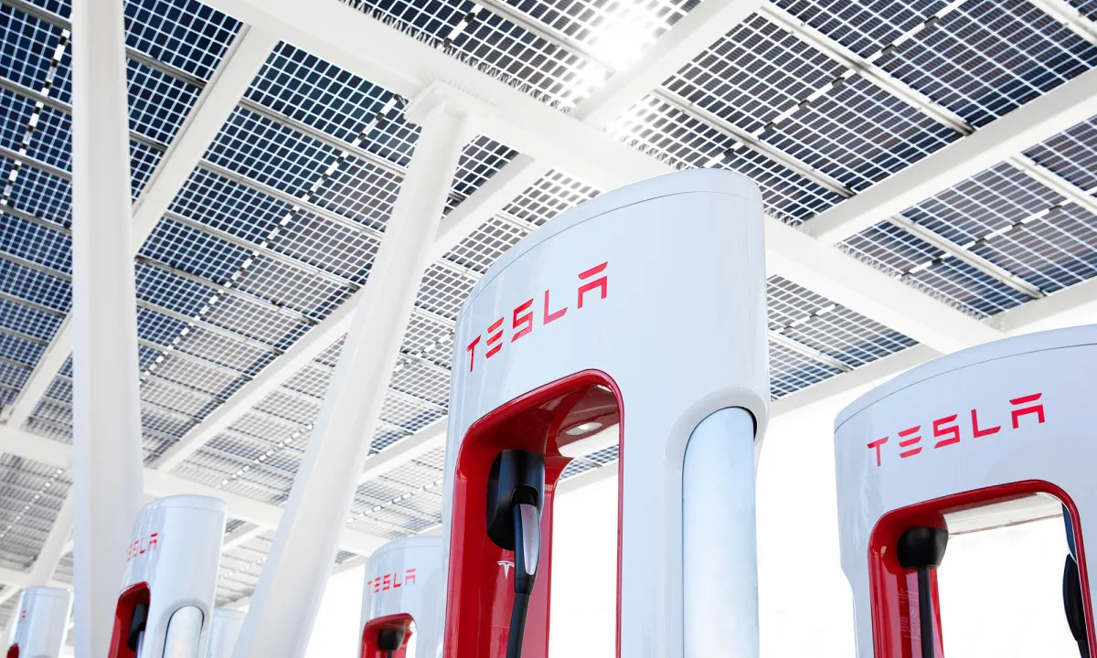 "Tesla Stock: Navigating Volatility and Investor Sentiment"