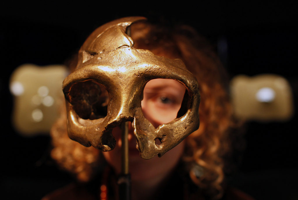 Featured image for Ancient DNA Unveils Recent Human-Neanderthal Interbreeding