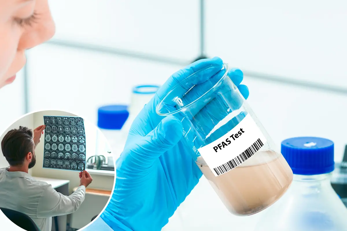 Featured image for Study Links 'Forever Chemicals' to Chronic Health Conditions