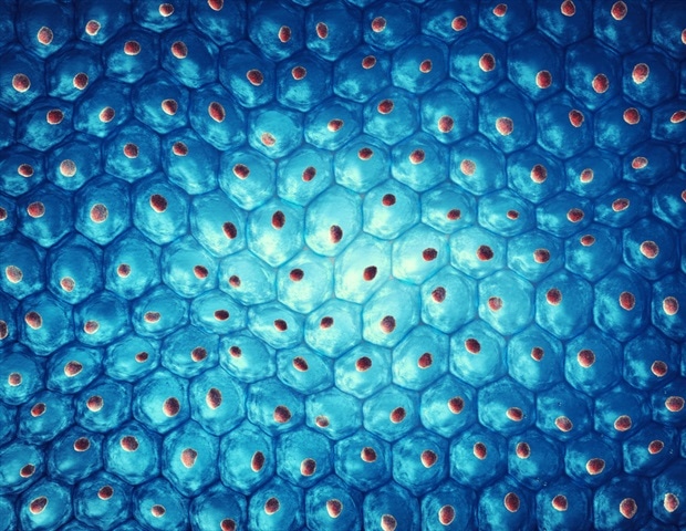 Featured image for "NICER: Revolutionizing Gene Editing with Enhanced Safety"