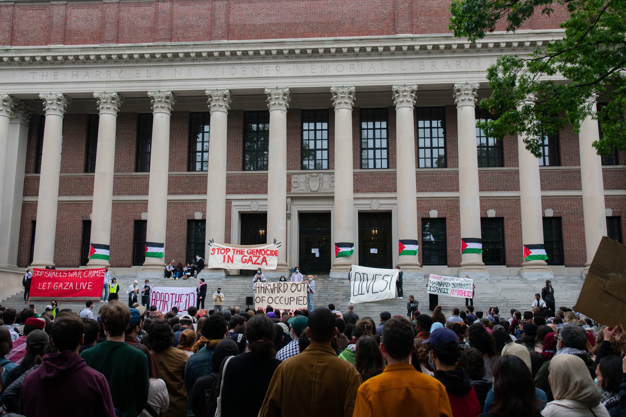 "Campus Protests and the Israel-Palestine Conflict: Examining the Impact on International Support"