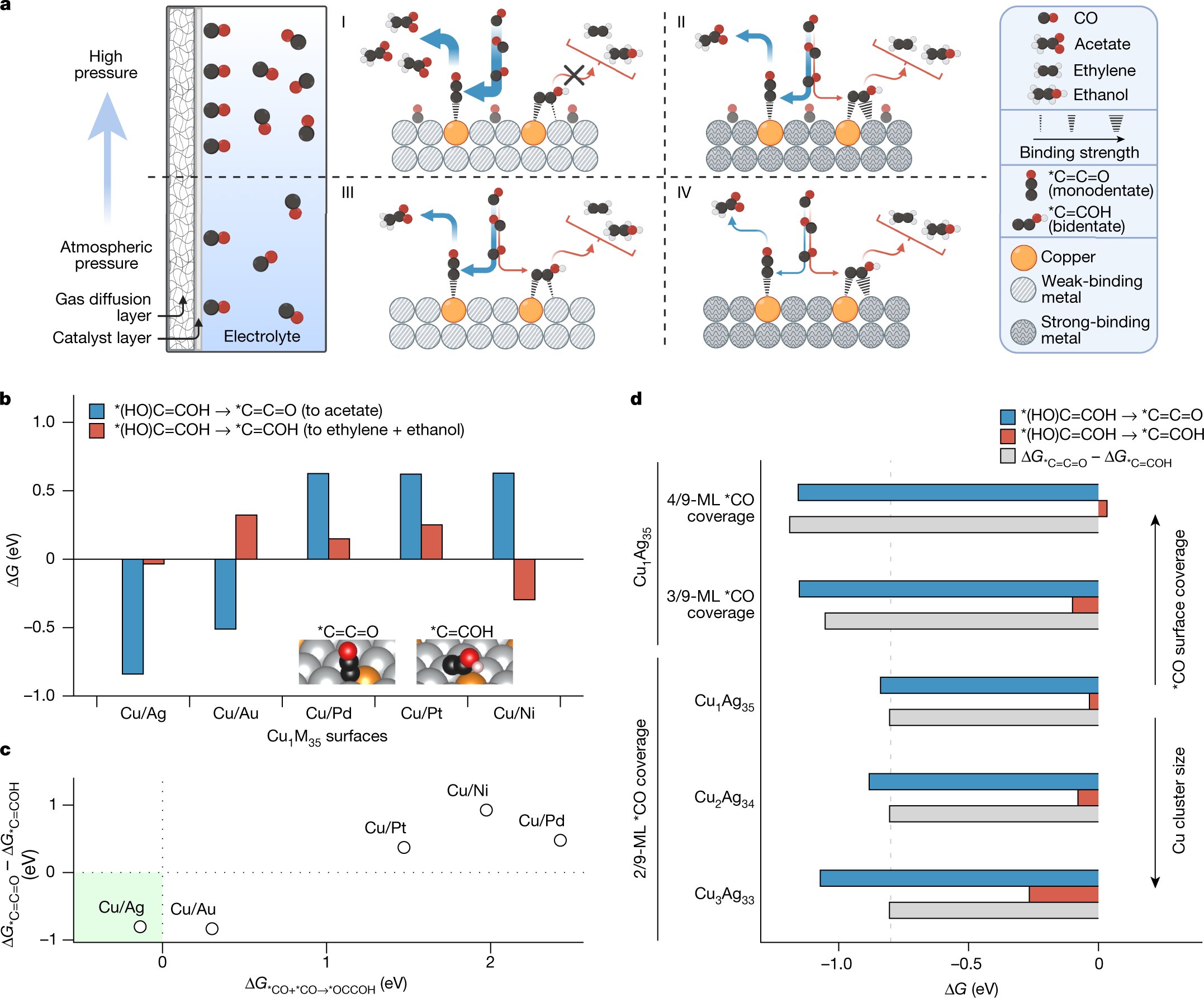 Featured image for Innovative Solutions for Sustainable Carbon Management.