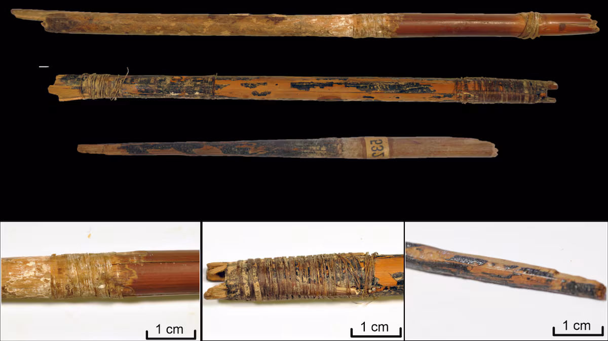 Featured image for Ancient Archery Mastery Uncovered in Spain's Bat Cave