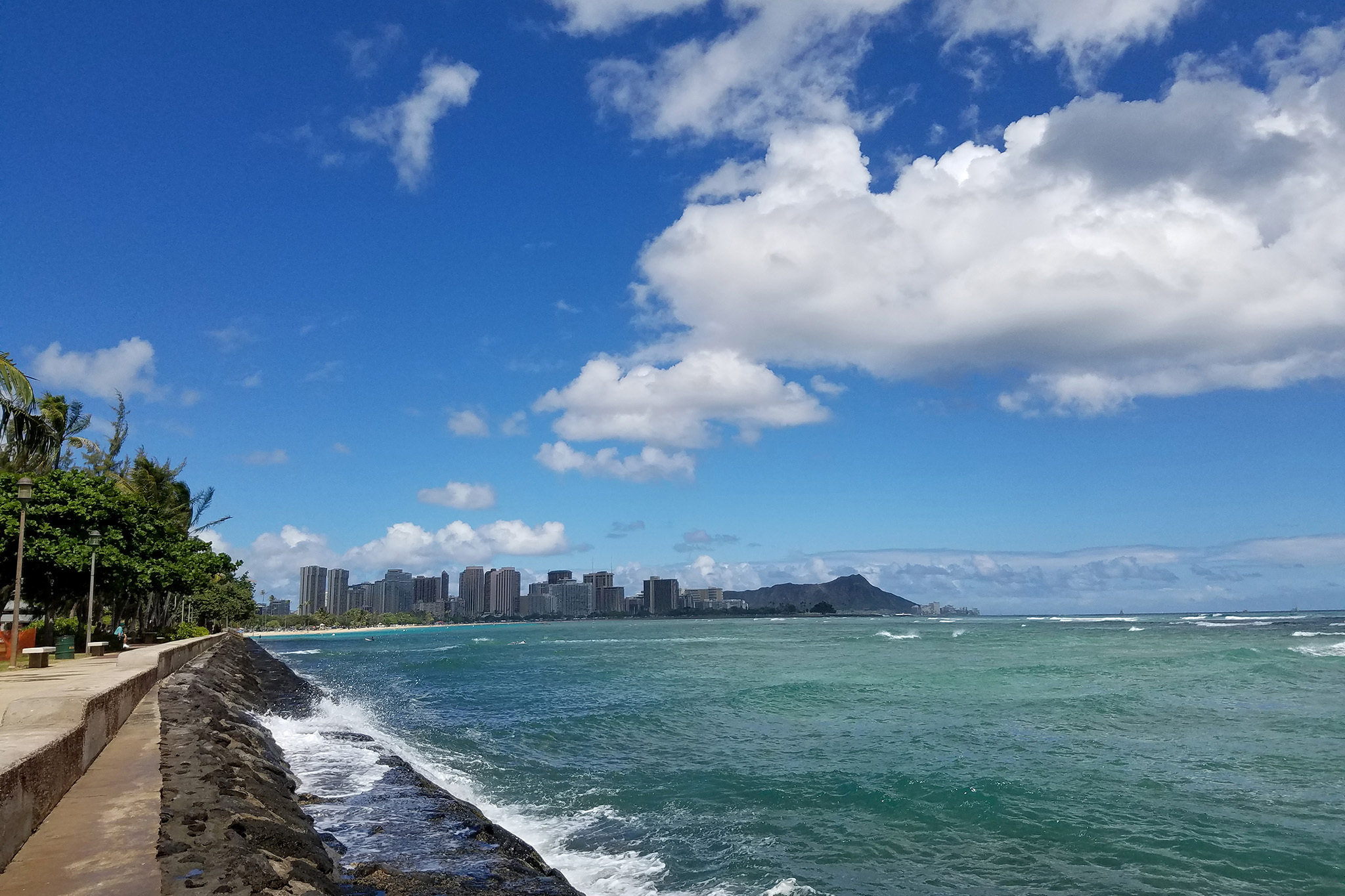 Survivors Speak: Tales of Shark Attacks in Hawaii