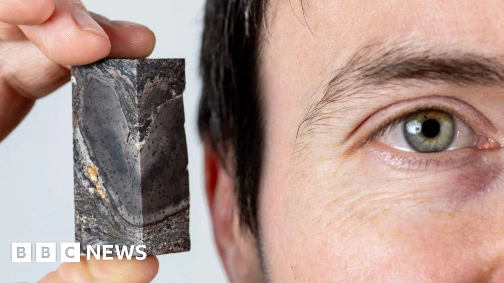 410-Million-Year-Old Prototaxites Fossil Enters Scotland's National Museum Collection