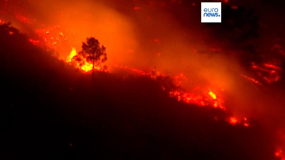 "Mass Evacuation and Devastation: Wildfire Engulfs Valencia Amidst Strong Winds"