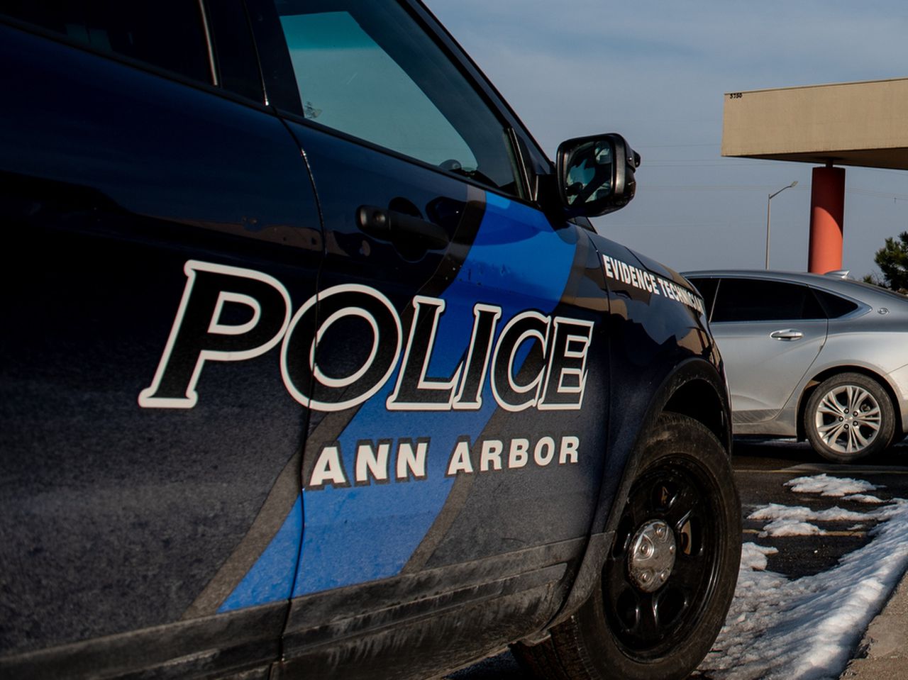 Michigan Police Make Multiple Arrests in Stabbing and Assault Cases