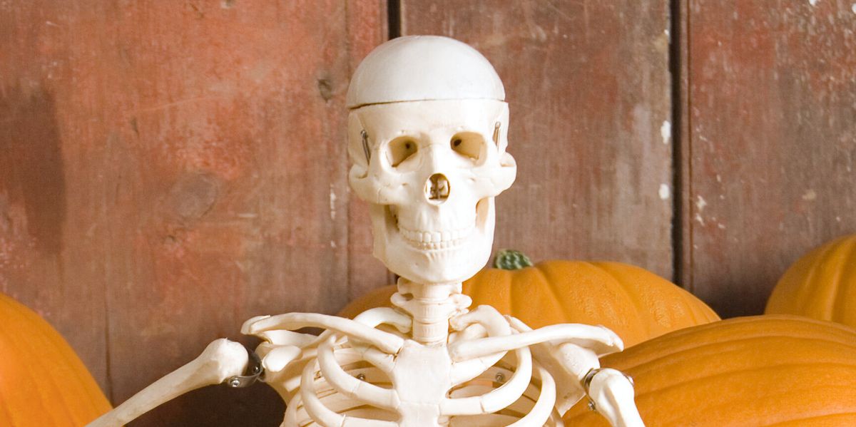 Featured image for "Utah Officials Crack Down on Inappropriate Halloween Decor on City Property"