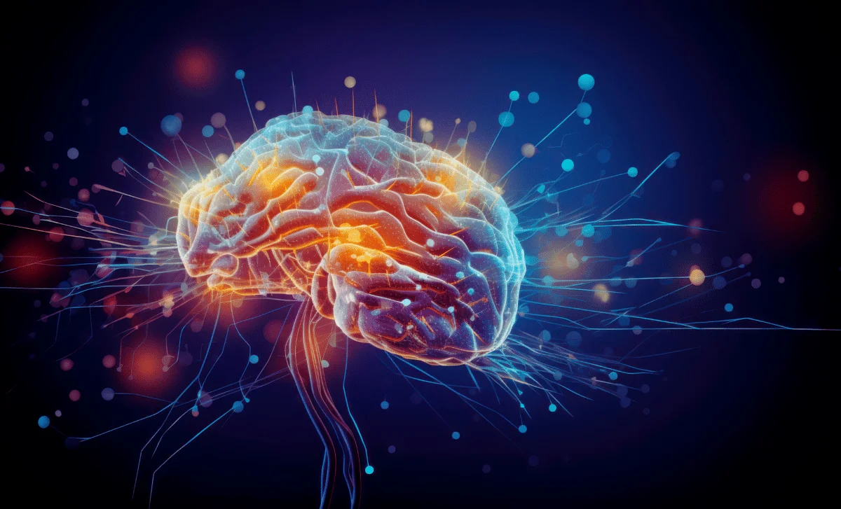 Hidden Brain Drain Path Discovered Along the Dura Near a Key Artery