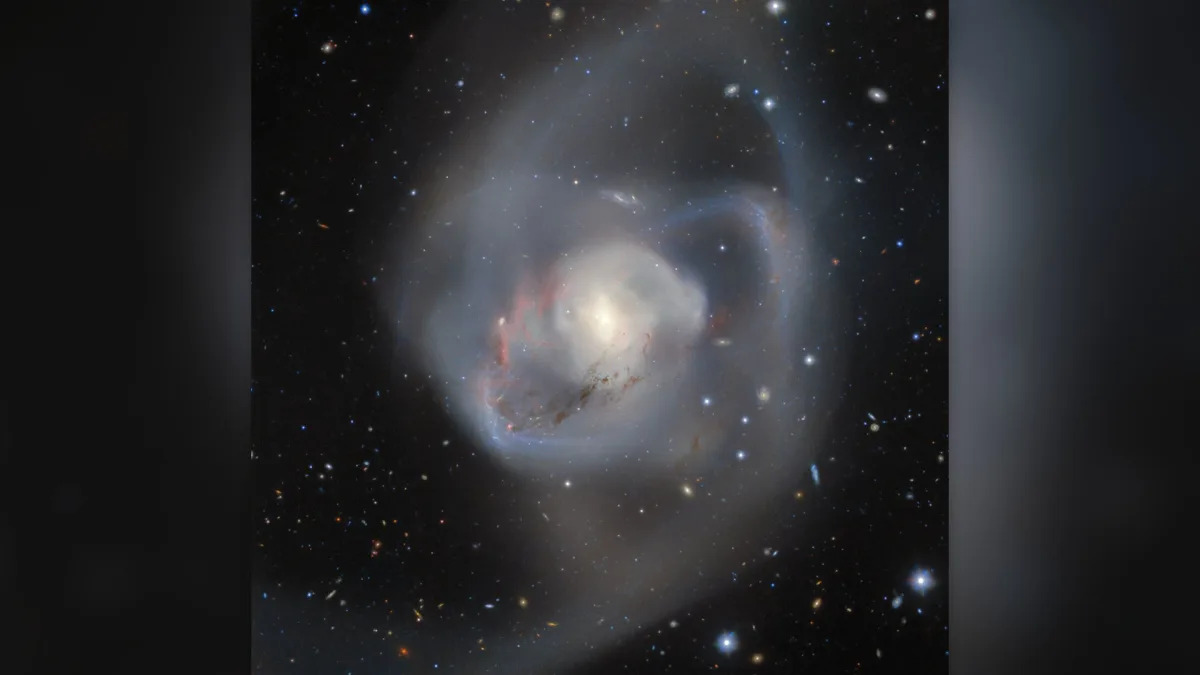 Cosmic Clash: Black Holes Tear Galaxies Apart