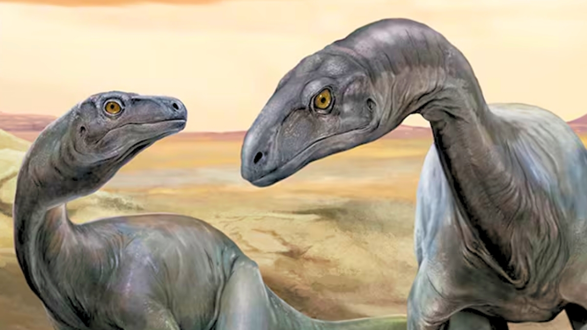 Featured image for Ancient Long-Necked Dinosaur Fossil Discovered in Argentina