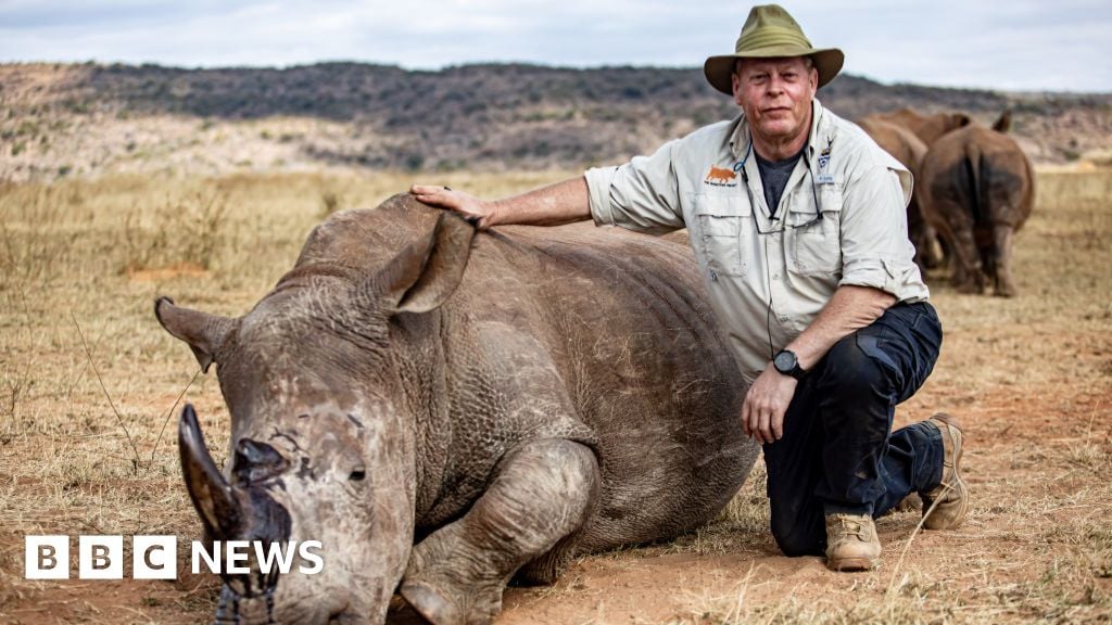 Featured image for South Africa Uses Radioactive Rhino Horns to Combat Poaching