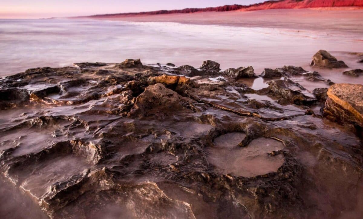 Featured image for Rare 150-Million-Year-Old Dinosaur Tracks Reveal Injured Dinosaur's Circling Path