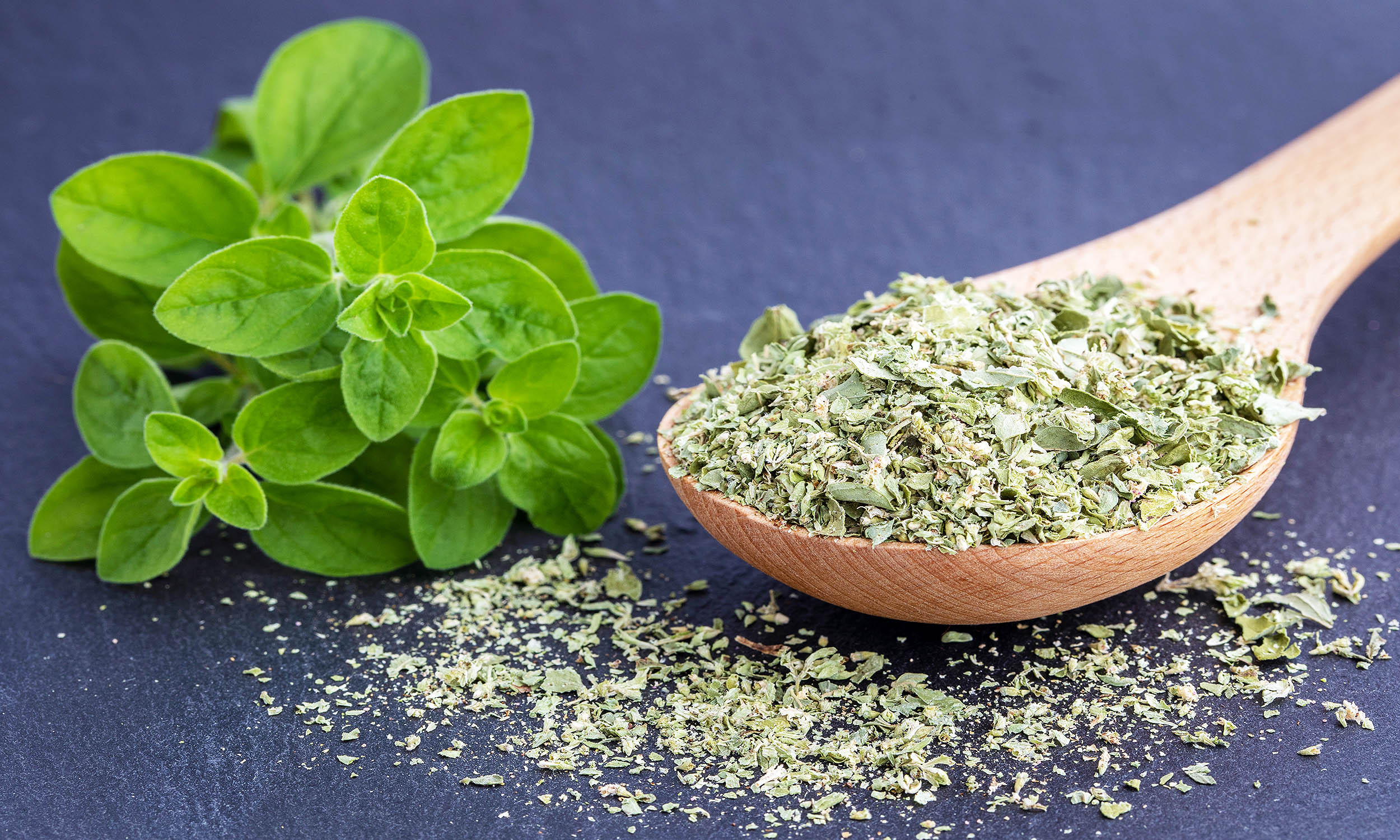 Featured image for Herb Offers Natural Relief for Arthritis Joint Pain